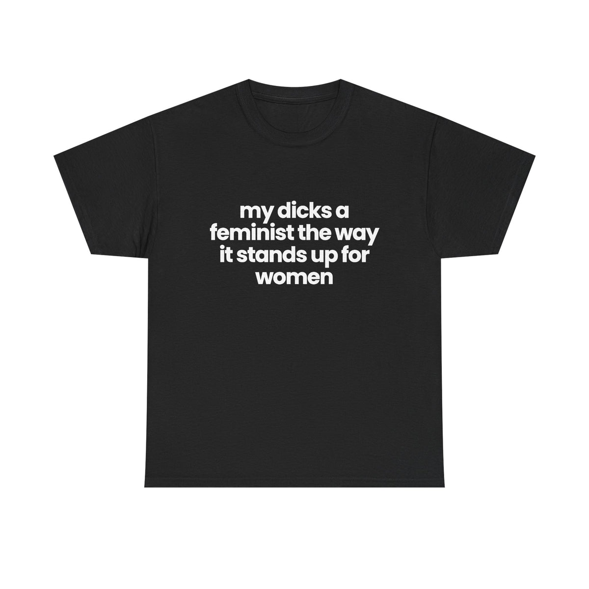 My Dicks a feminist