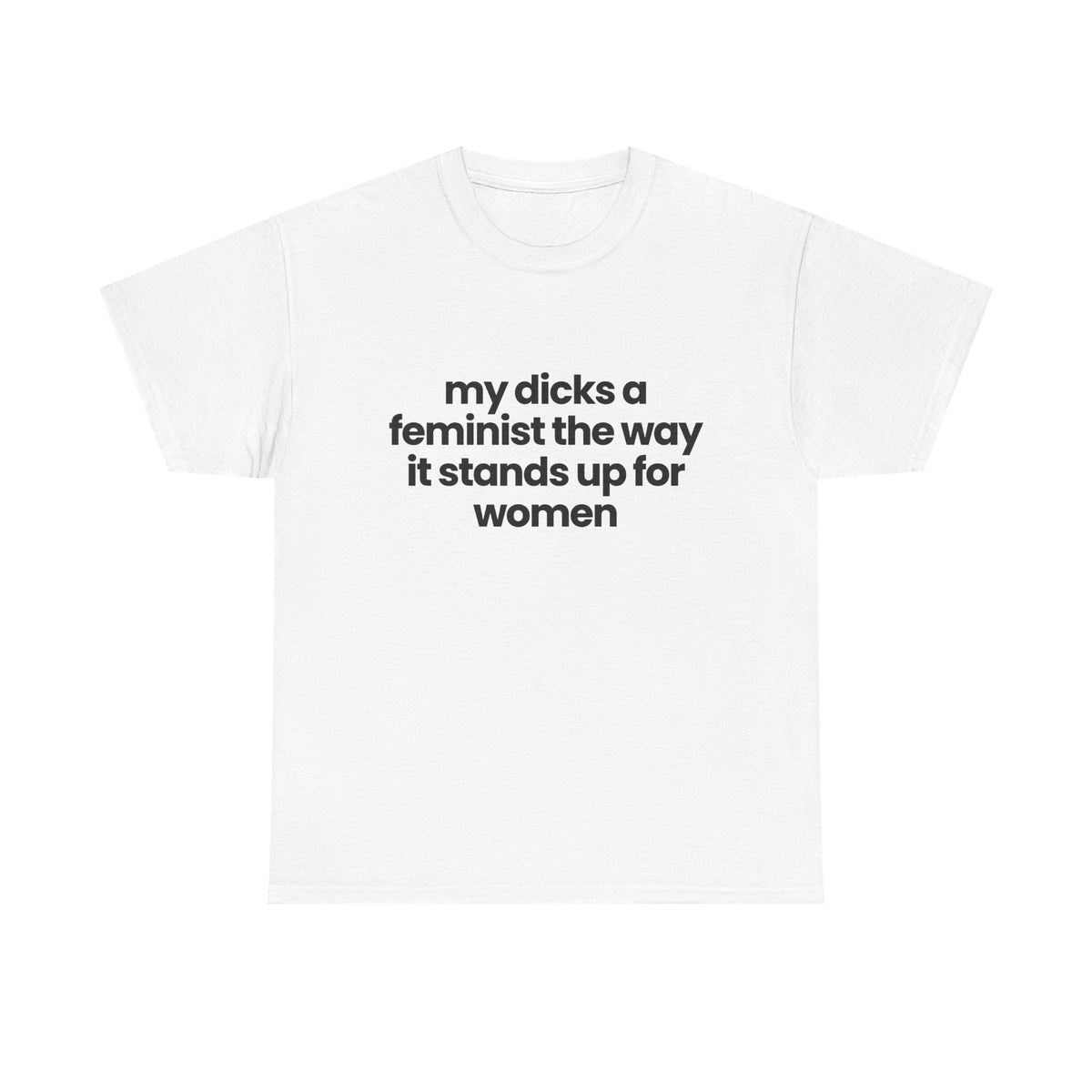 My Dicks a feminist