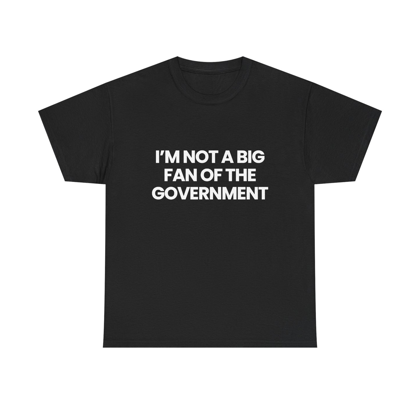 Not a big fan of the government