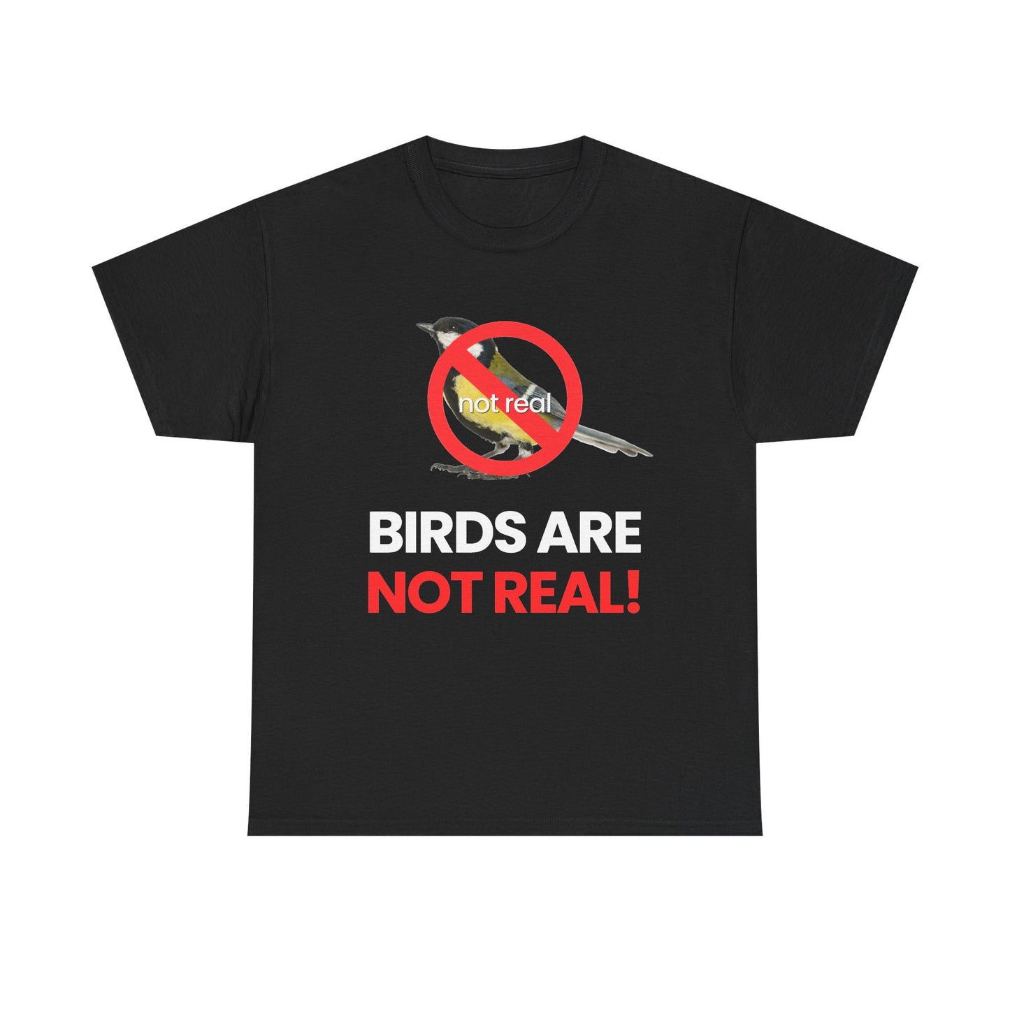 Birds are not real