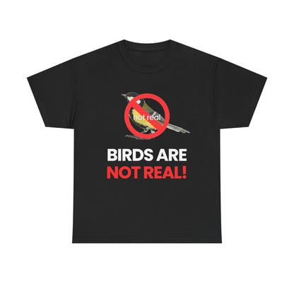Birds are not real