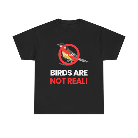 Birds are not real