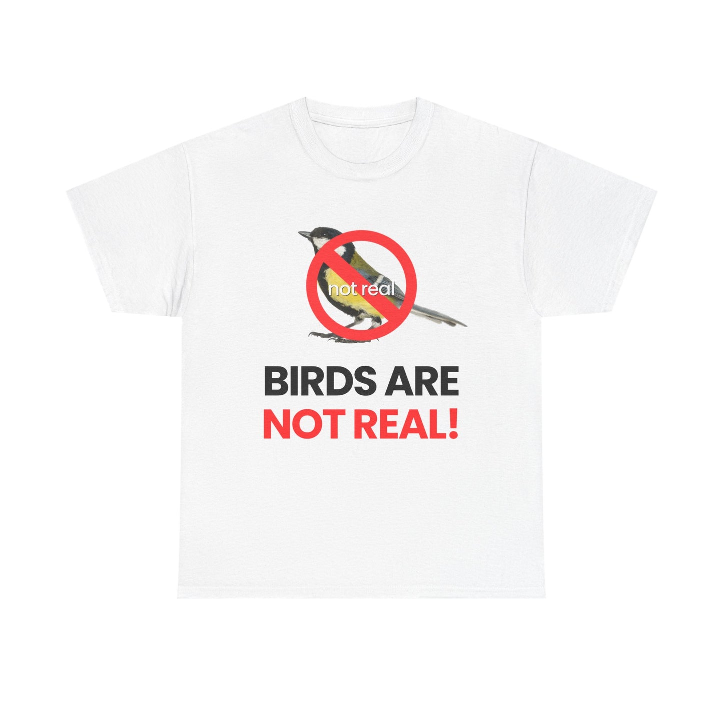 Birds are not real