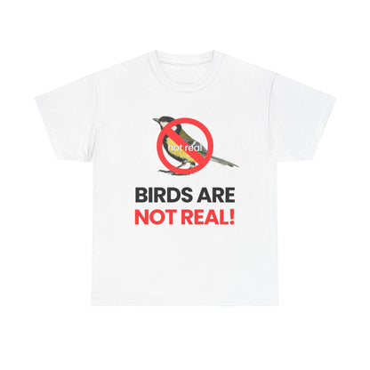 Birds are not real